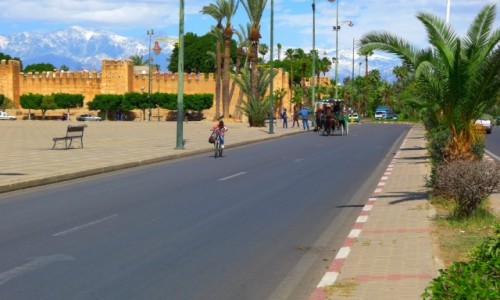 Zdjęcie MAROKO / Maroko południowe  / Ulica Taroudant / Miejska zieleń