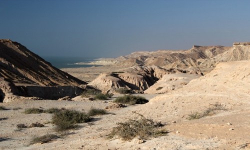 Zdj�cie MAROKO / Laayoune-Sakia El Hamra / Village de P / Ouedzik nad oceanem