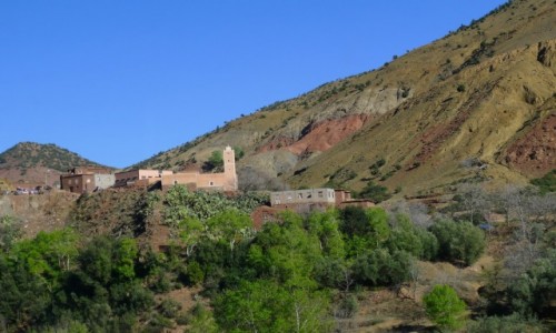 Zdjcie MAROKO / Poudniowe Maroko  / Gdzie w drodze przez Atlas  / Na zboczu gry