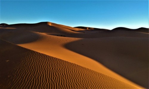 Zdjecie MAROKO / Merzouga / Merzouga / Sahara