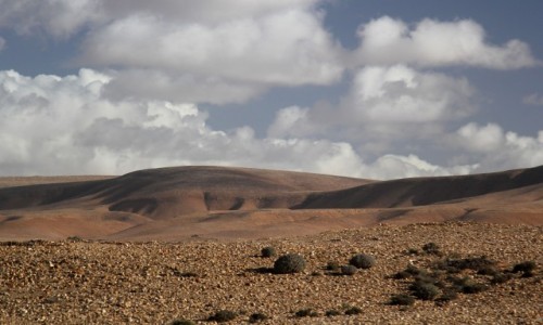 Zdjcie MAROKO / Province de Tan-Tan, Guelmim-Es Semara / Abteh / Okolice