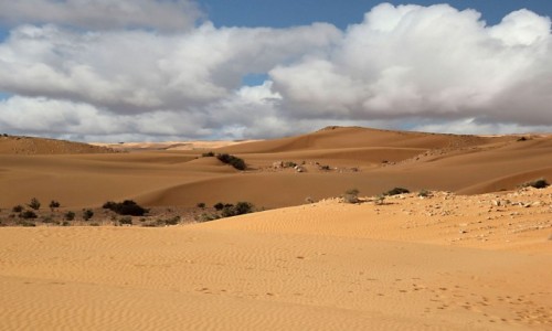 Zdjcie MAROKO / Sahara Zachodnia / okolice Al-Ujun / Kolory Sahary