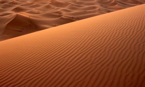 Zdjecie MAROKO / Meknes-Tafilalet / Erg Chebbi / Sahara