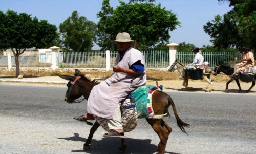 Zdjęcie MAROKO / trasa Agadir  As-Sawira / gdzieś na trasie / popularny środek transportu