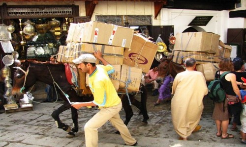 Zdjcie MAROKO / Fez / Fes el-Bali / dostawa towaru