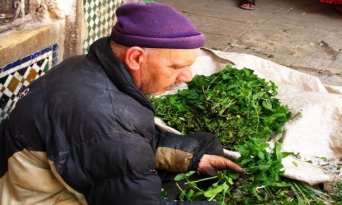 Zdjcie MAROKO / Fez / Fes el-Bali / sprzedawca zi