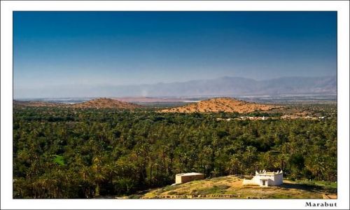 Zdjęcie MAROKO / Tiut / brak / Marabut