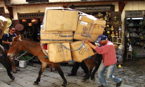 Zdjcie MAROKO / Fez / Fes el-Bali / srodek transportu na medinie