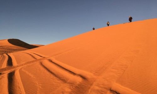 Zdjcie MAROKO / Sahara - Erfoud / Sahara - Erfoud / Maroko -Sahara