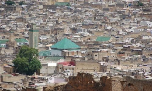 Zdjecie MAROKO / brak / Fez / Medyna