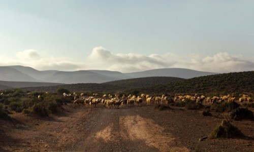 Zdjcie MAROKO / Kulmim-Asmara / gdzie po drodze / Szlakiem Rajdu Dakar