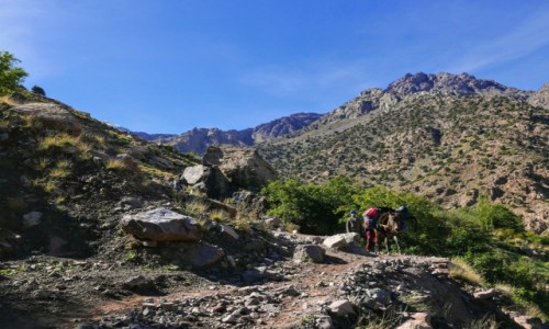 Zdjecie MAROKO / Atlas Wysoki / Atlas Wysoki / W drodze na Jebel Toubkal