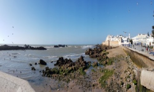 Zdjcie MAROKO / Pnocne Maroko / Nabrzee Essaouira / Essaouira 