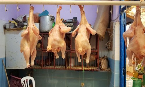 Zdjecie MAROKO / Pnocne Maroko / Souk w Essaouira  / Prosto spod topora 