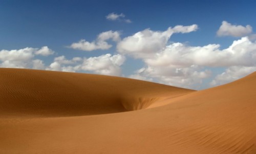 Zdjecie MAROKO / Sahara Zachodnia / piaski pustyni / Pustynia wciga