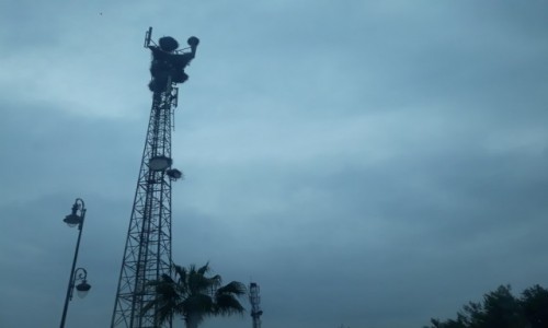 Zdj�cie MAROKO / Po�noc / centum miasta / mnogo�� bocianich gniazd na s�upie telefonii kom�rkowej 