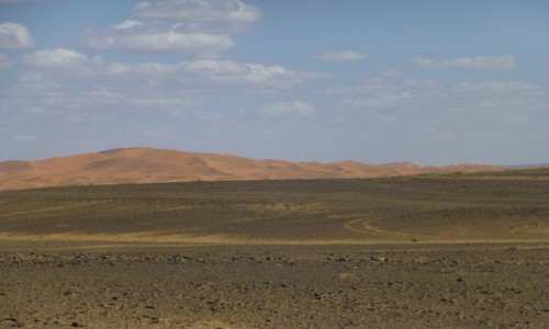 Zdjecie MAROKO / -wschd / Sachara Wschodnia / Sahara Wschodnia