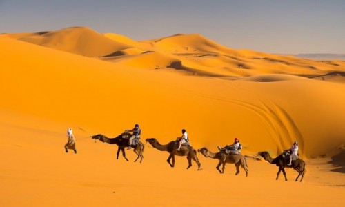 Zdjecie MAROKO / Maroco / Maroco / Pustynia