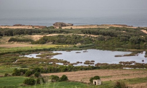 Zdjcie MAROKO / El Jadida / Loualidia / Uroki laguny