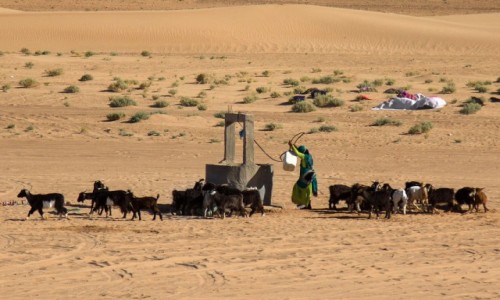 Zdjęcie MAROKO / Province de Zagora / Erg Chegaga / Przy studni