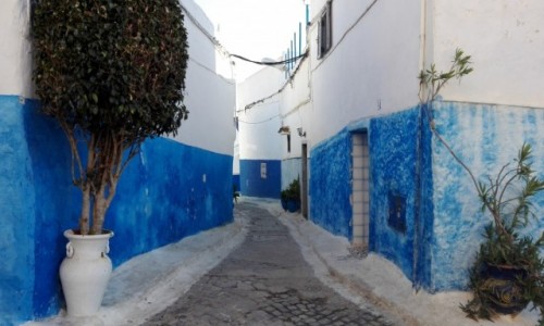 Zdjcie MAROKO / Zachodnie Maroko / Rabat / Greckie klimaty
