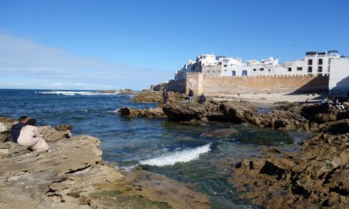 Zdjcie MAROKO / Zachodnie Maroko / Essaouira / Essaouira
