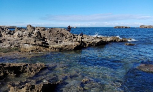 Zdjcie MAROKO / Zachodnie Maroko / Essaouira / Spokojny ocean