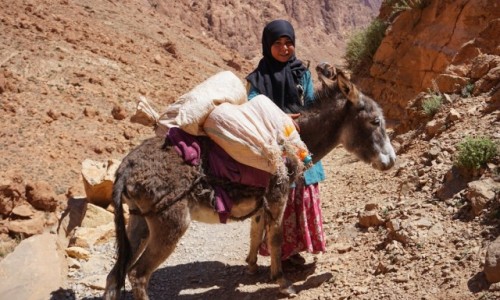 Zdjecie MAROKO / Atlas / Todra / Dziewczynka z rodu Tuaregw