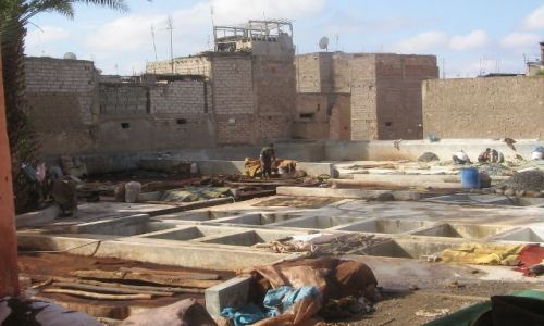 Zdjecie MAROKO / brak / Marrakech / farbiarnie skor -co za smrod