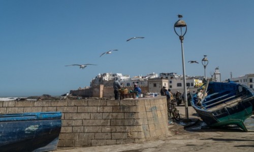 Zdjęcie MAROKO / Marrakesz-Safi / Essaouira / nad Atlantykiem