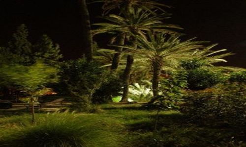 Zdjcie MAROKO / brak / Marrakesh / W zwykym parku na wieczornym spacerku... ; ]