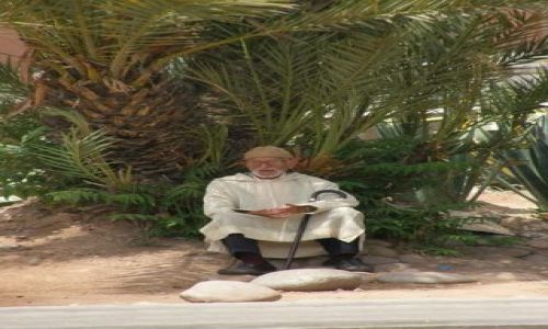 Zdjcie MAROKO / brak / Marrakesh / Staruszek pod palm - szuka cienia jak i ja ; ]