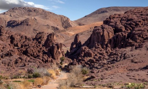 Zdjecie MAROKO / Souss-Massa / Wwz Tislit / Widoczek bez wody