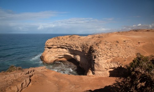 Zdjecie MAROKO / Souss-Massa / Tamri / Miejscwka ibisw