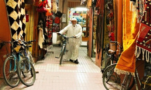 Zdjcie MAROKO / Tensift Al Hauz / Marrakesz / Rowerowy pasa