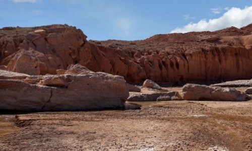 Zdjęcie MAROKO / Fès-Meknès / Sidi Boutayeb / Nad ouedem Azinous