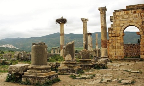 Zdjcie MAROKO / Pnocne Maroko / Volubilis, ruiny rzymskiego miasta / Boki