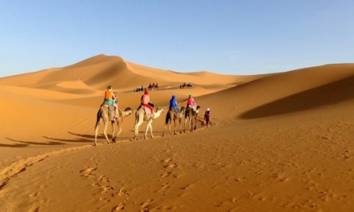 Zdjcie MAROKO / . / Erg Chebbi / Czar pustyni.