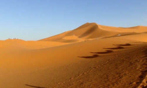 Zdjcie MAROKO / . / Erg Chebbi / Na pustyni...