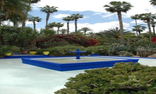 Zdjęcie MAROKO / Marrakesz / Marrakesz, Jardin Majorelle, YSL / ogrody Marrakeszu