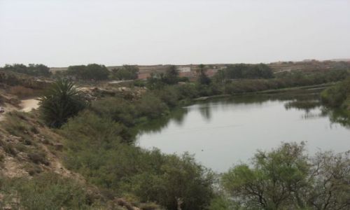 Zdjęcie MAROKO / brak / Massa / Wiosna w Maroku