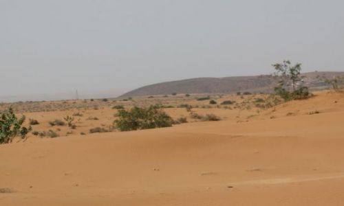 Zdjęcie MAROKO / brak / Massa / Wiosna w Maroku