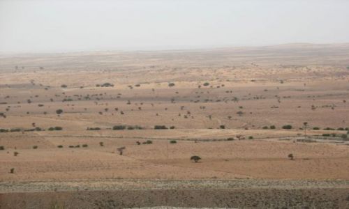 Zdjęcie MAROKO / brak / Massa / Wiosna w Maroku