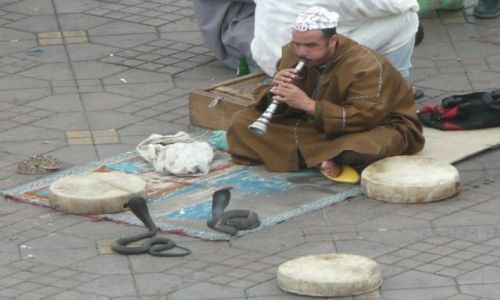 Zdjęcie MAROKO / Marrakesz / Jemaa el-Fna / Zaklinacz węży