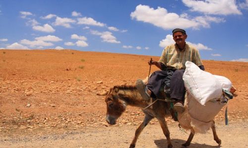 Zdjecie MAROKO / brak / na trasie Marrakesz Oualidia / W drodze ...