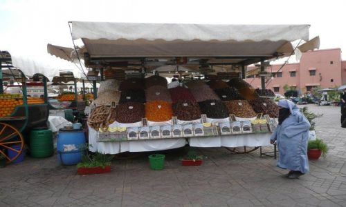 Zdjecie MAROKO / Marrakesz / Marrakesz / Marrakesz