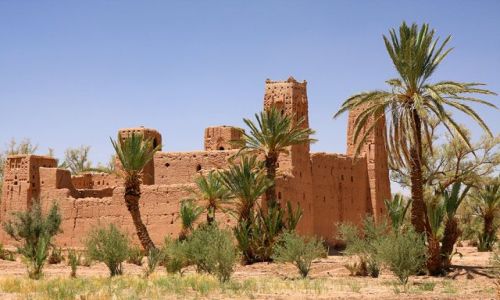 Zdjecie MAROKO / Dolina Dades - Dolina Tysiąca Kazb / Marrakesz / ***