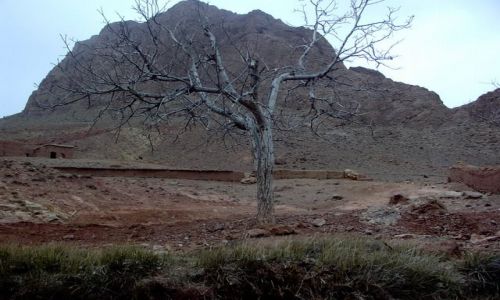 Zdjęcie MAROKO / todra dades / przełom dades i todry / gdzieś tam