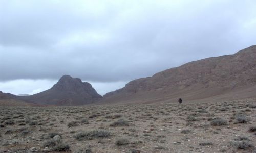 Zdjęcie MAROKO / todra dades / przełom dades i todry / pusto