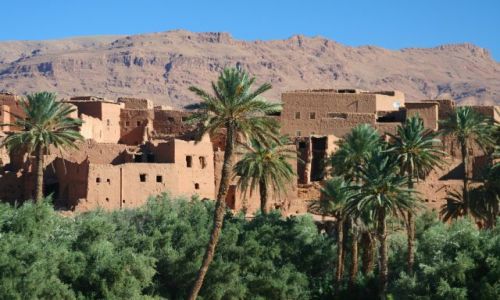 Zdjęcie MAROKO / AtlasWysoki / Wawoz Todra / W drodze do Wawozu